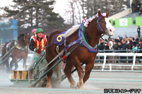 ばんえい記念観戦ツアー2・3日間