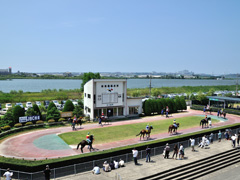 金沢競馬観戦ツアー