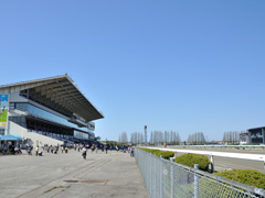 金沢競馬観戦ツアー