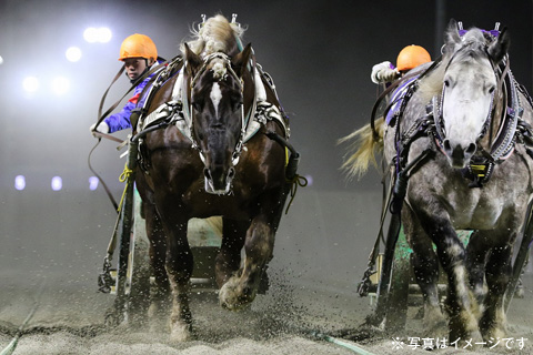 ばんえいナイター競馬観戦ツアー