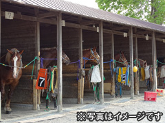 ばんえいナイター競馬観戦ツアー