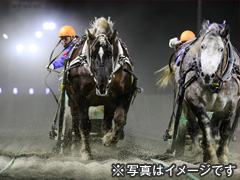 ガールズケイリン×ばんえい競馬観戦ツアー2日間