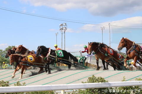 ばんえい競馬観戦ツアー2・3日間