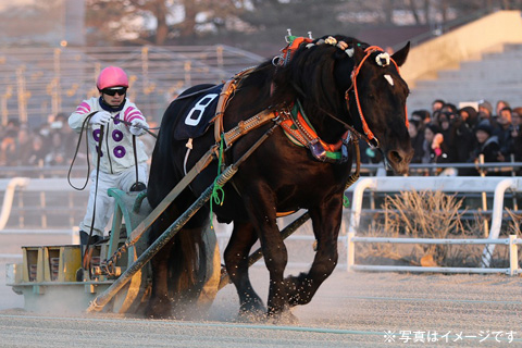 ばんえい記念観戦ツアー2・3日間