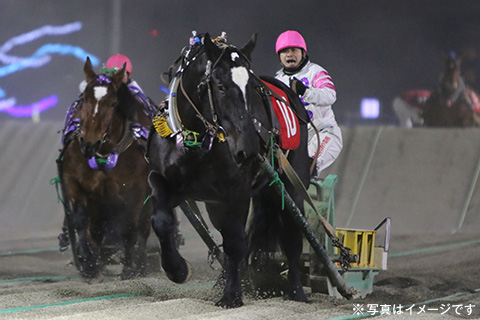 ばんえい競馬観戦ツアー