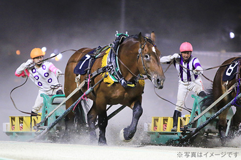 第55回 ばんえい記念観戦ツアー2日間