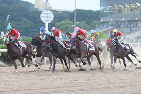 佐賀競馬サマーチャンピオン観戦ツアー2日間