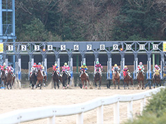 佐賀競馬サマーチャンピオン観戦ツアー2日間