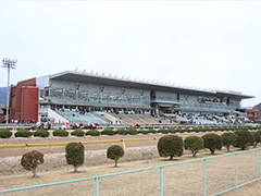 佐賀競馬サマーチャンピオン観戦ツアー2日間