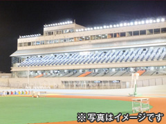 今期最終開催日に入場! 函館競輪観戦ツアー2日間