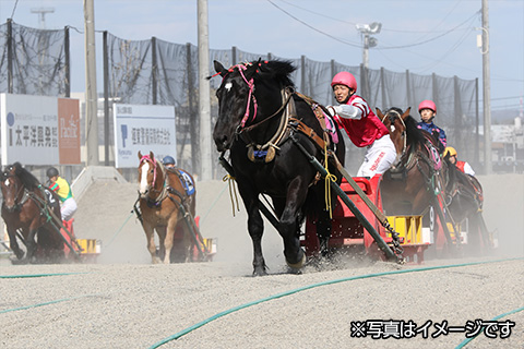 ばんえい競馬観戦ツアー2日間