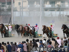 ばんえい競馬観戦ツアー2日間