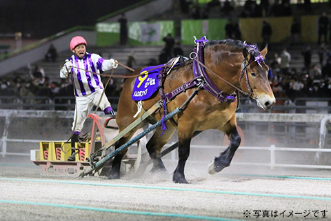 第56回ばんえい記念観戦ツアー2日間