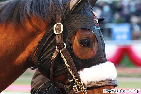 アーモンドアイ号 JRA顕彰馬 祝賀トークショー