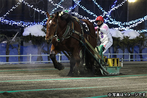 ばんえい競馬観戦ツアー2日間