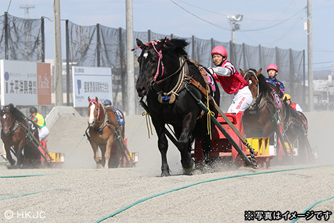 ばんえい競馬観戦ツアー2日間