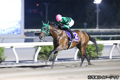 高知夜さ恋ナイター競馬観戦ツアー2日間