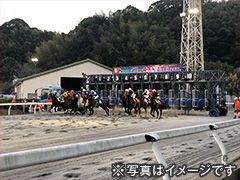 高知夜さ恋ナイター競馬観戦ツアー
