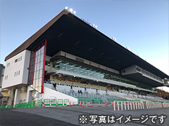 高知夜さ恋ナイター競馬観戦ツアー