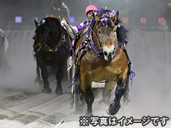 第58回ばんえい記念観戦ツアー3日間