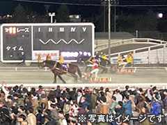 第58回ばんえい記念観戦ツアー3日間