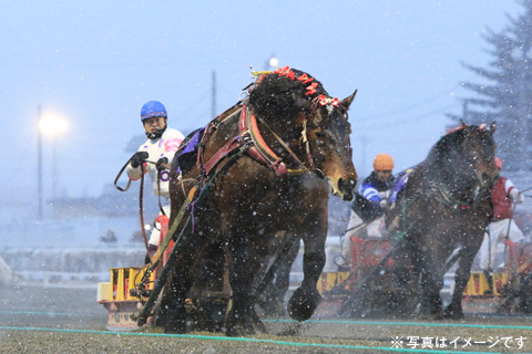 第58回ばんえい記念観戦ツアー2日間