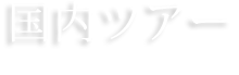 国内ツアー