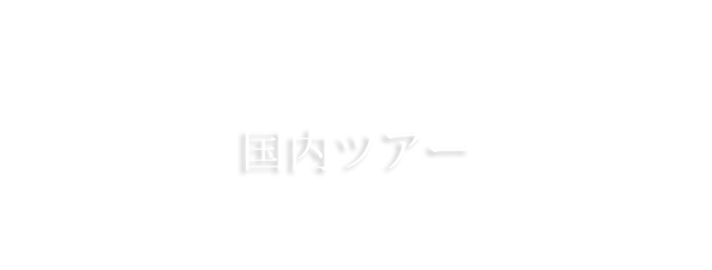 国内ツアー