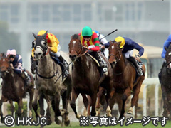 レース画像
