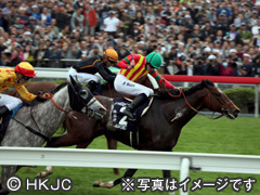 レース画像