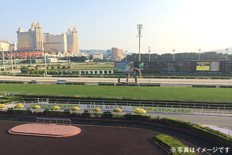 マカオ国際男女混合ジョッキーズチャレンジ観戦ツアー3日間 国内旅行 海外旅行 各種観戦ツアー