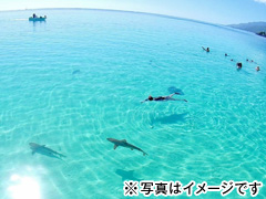 タヒチ直行便増便キャンペーン！水上バンガローに泊まる女子旅 モーレア島＋タヒチ島