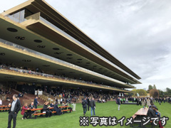 直行便で行く 凱旋門賞とフランスローカル競馬観戦ツアー 5日間