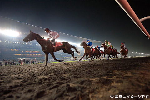 エミレーツ航空 直行便で行く ドバイワールドカップ観戦ツアー 4日間