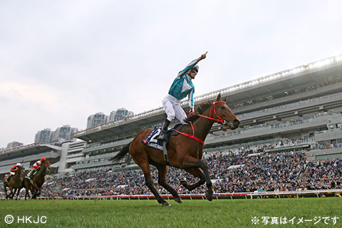 須田鷹雄と行く 香港国際競走観戦ツアー 3日間