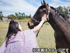 ライジングサン・シンジケート オーストラリア馬巡りの旅 6日間