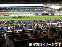 ライジングサン・シンジケート オーストラリア馬巡りの旅 6日間