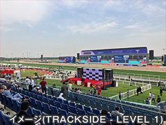 エミレーツ航空 直行便で行く ドバイワールドカップ観戦ツアー 4日間