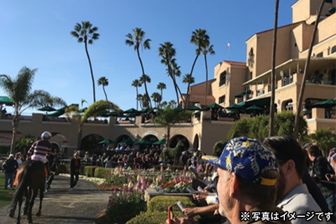 ブリーダーズカップ観戦ツアー4日間