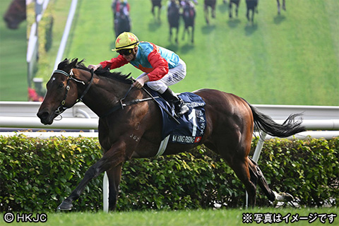 須田鷹雄と行く 香港国際競走観戦ツアー 3日間