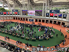 須田鷹雄と行く 香港国際競走観戦ツアー 3日間