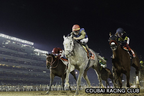 エミレーツ航空 直行便で行く ドバイワールドカップ観戦ツアー 4日間