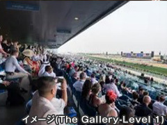 エミレーツ航空 直行便で行く ドバイワールドカップ観戦ツアー 4日間